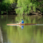 Kayaking, Murrumbidgee River, Wagga Wagga